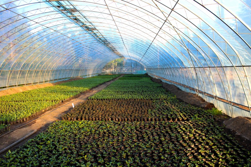 农业大棚-温湿度解决方案